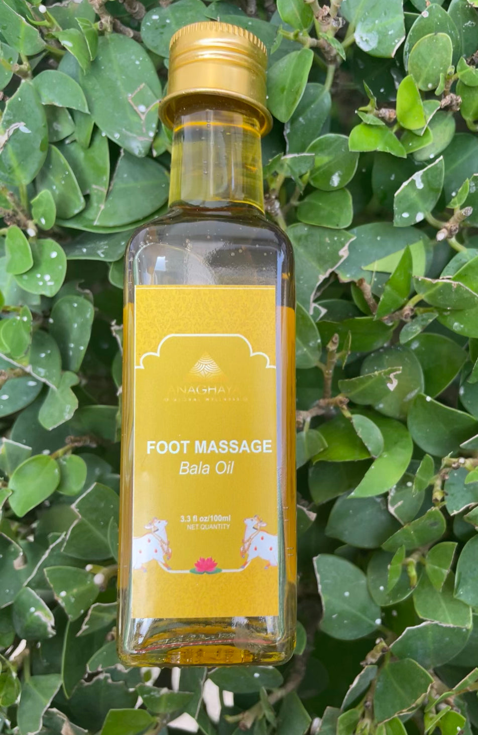 Foot massage online oil